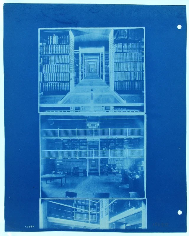first year course: “A trip to the&nbsp;library”